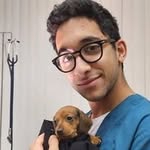Daniel Gonen - @dgonen2109 - Instagram