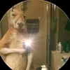 Daniel Gonzaga - @daniel.gonzaga04 - TikTok