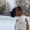 user8091137101412 - @daniel.goodfellow12 - TikTok