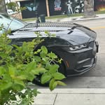 daniel - @daniel_goodfield - Instagram