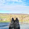 Daniel Goodson - @myfluentpodcast - TikTok