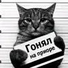 Суета - @daniel_gorbachev - TikTok