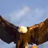 Daniel Gorgan - @daniel.gorgan6 - TikTok