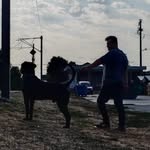 Silviu-Daniel Gorgan - @silviu_danielgorgan - Instagram