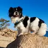 Daniel Gorla - @danielino20166 - TikTok