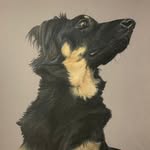 Daniel Gort - @dgort023 - Instagram