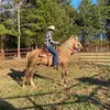 danielgosdin667 - @danielgosdin667 - TikTok