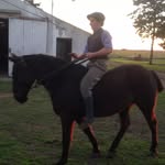 Daniel Goss - @goss.daniel - Instagram