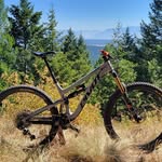 Daniel Goss - @goss4837 - Instagram