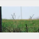 Daniel Goss - @gossd_photography - Instagram