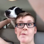 Daniel Gosse - @dan_dogs_ - Instagram