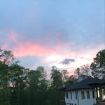 Daniel Gossen - @daniel.gossen - Instagram