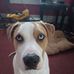 Daniel Gott - Facebook