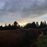 Daniel Götte - @gotte.daniel - Instagram