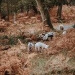 Danielgg - @daniel.gotter - Instagram