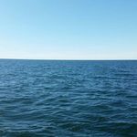 @danielgottfried63 - Instagram