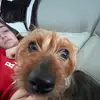 Daniel Götti u da coldest - @danielduran2.0 - TikTok