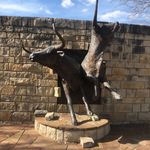 Daniel Gottschalk - @danielgottschalk6569 - Instagram