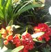 Daniel Gouws - Facebook