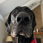 Daniel Gowans - @daniel_gowans - Instagram