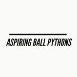 Daniel Grabher - @aspiring_ball_pythons - Instagram
