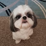 Daniel Grabski - @d_grabski - Instagram