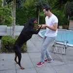 Daniël - @daniel_graft - Instagram