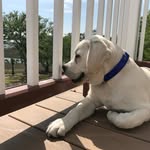Daniel Grafton - @i_love_meggett - Instagram