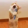Daniel Gralak - @danielgralak702 - TikTok