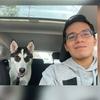 danielgramer5459 - @danielgramer5459 - TikTok