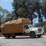 Daniel Granado - Facebook