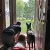 Daniel Grande - @daniel.grande52 - TikTok