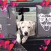 Danielle Grannis - Facebook