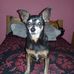 Daniel Grasso - Facebook