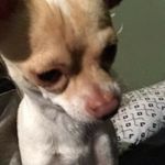 daniel grays - @grays.daniel - Instagram