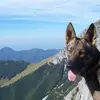 Daniele Graziani - @daniele.graziani7 - TikTok