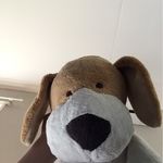 Daniel Ross Greaney - @danielfollower298 - Instagram