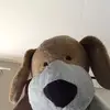Daniel Ross Greaney - @musicalflofin - TikTok
