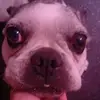 Danielgreen - @daniel564835 - TikTok