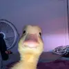 DanielX_724 - @daniel.green63 - TikTok