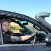danielgreenhill27 - @danielgreenhill27 - TikTok