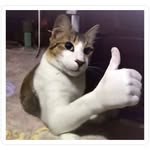 Daniel Greenwell - @greenwell12341 - Instagram