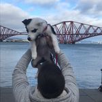 Daniel Greig - @dangreigggg - Instagram