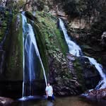 Daniel Greiner - @danigre20 - Instagram