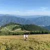 danielgresser118 - @danielgresser118 - TikTok
