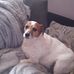 Daniel Grierson - Facebook