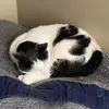 Daniel Griffiths - @daniel.griffiths277 - TikTok