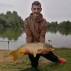Daniel Grigore - @danielgrigore478 - TikTok