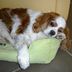 Daniel Grima - Facebook