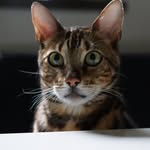 @danielgripphotos - Instagram